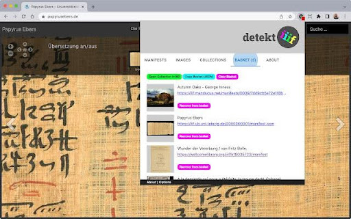 Screenshot of detekt iiif selecting a basket